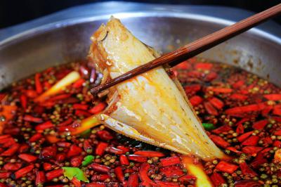 成都郫縣有沒(méi)有專業(yè)培訓(xùn)耗兒魚培訓(xùn)學(xué)校？